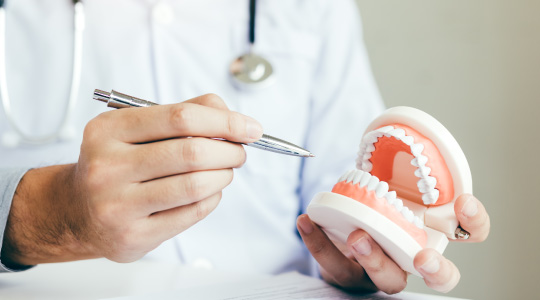 入れ歯のスペシャリストが対応します。