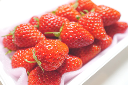 収穫したてのいちご